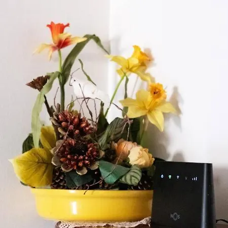 Charming House Fátima