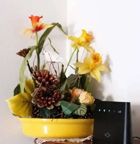 Charming House Fátima